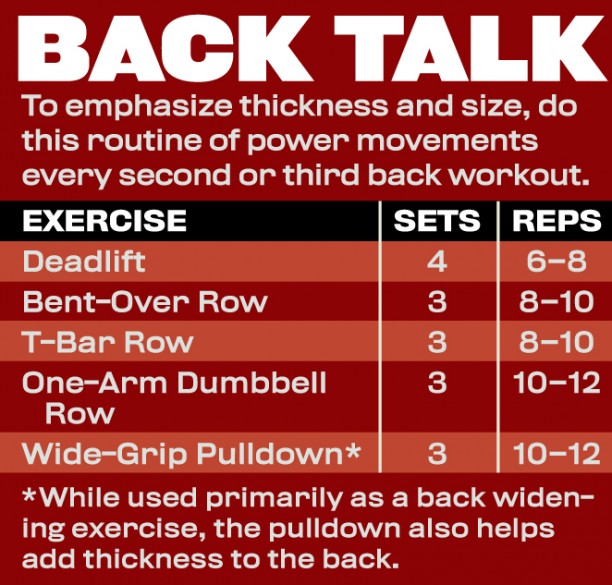 Back Workout Chart Hd